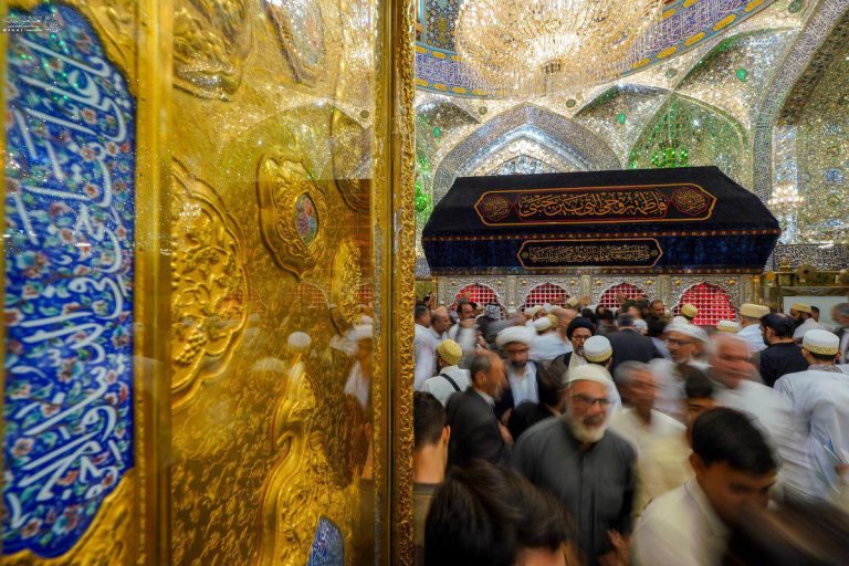 IMG_20251109_235242_148