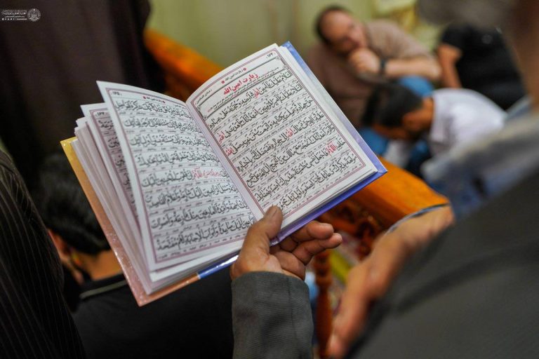 IMG_20251109_235242_215