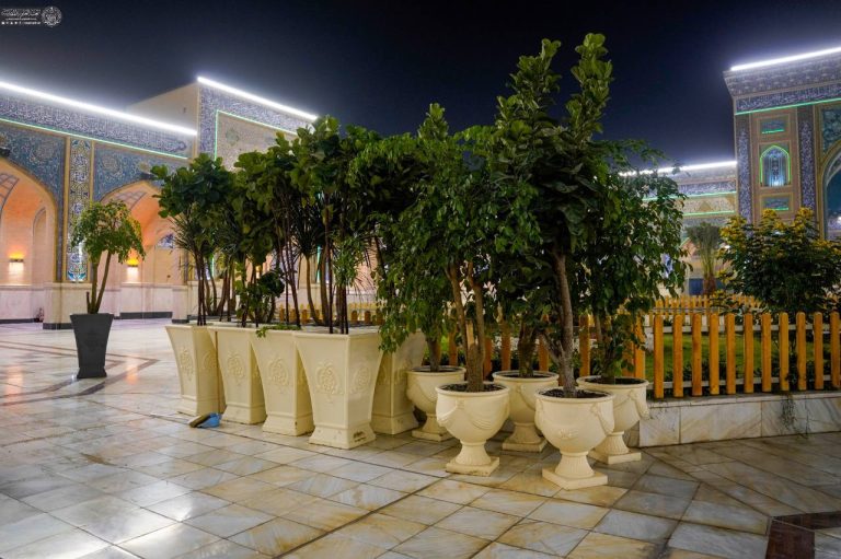 Preparations Religious Maturity