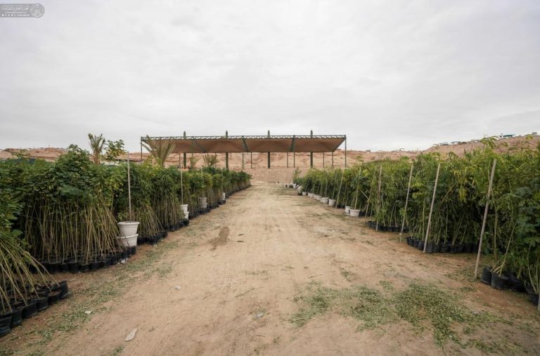 Shrine Plant Campaign