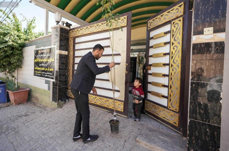 Shrine Plant Campaign