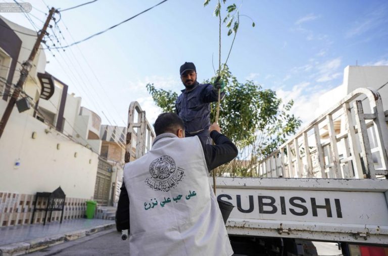 Shrine Plant Campaign