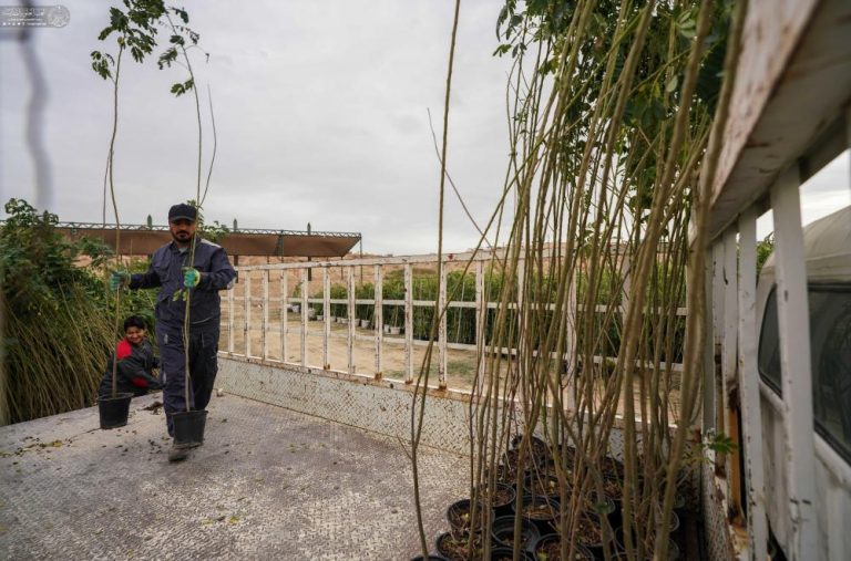 Shrine Plant Campaign