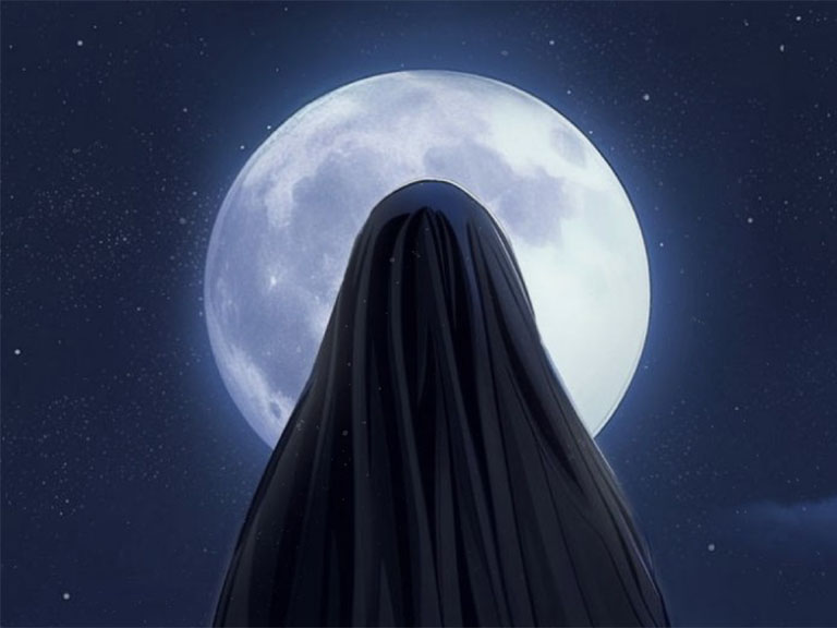 Lady of Amir Al-Muminin