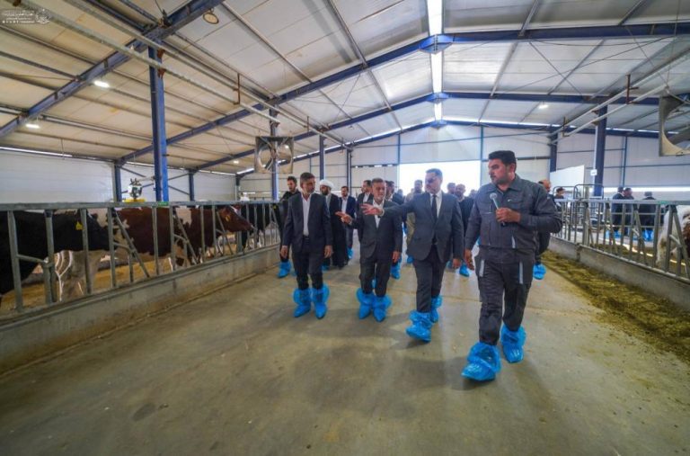 Holy Alawi Livestock Breeding