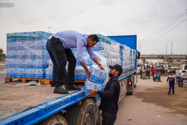 photo_4_2026-02-03_13-00-57-768x512