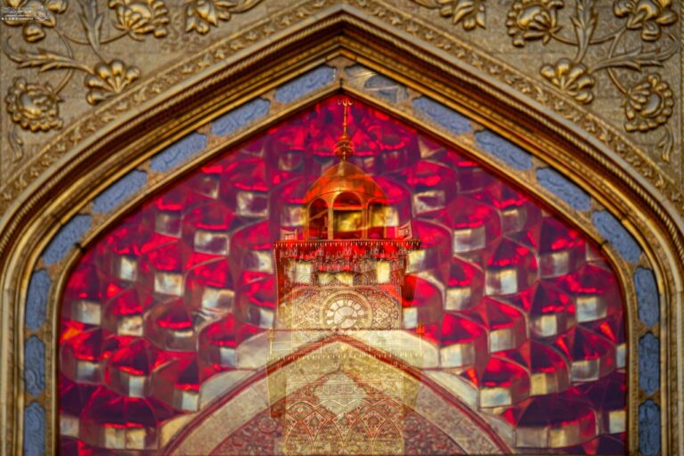 IMG_20260310_202241_247