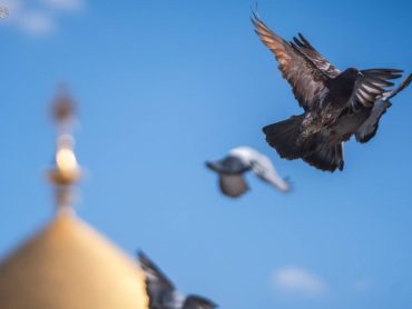 IMG_20260325_202859